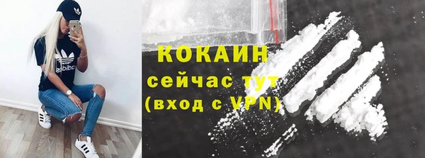 гидропоника Горняк