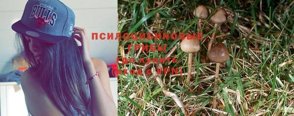 a pvp Горнозаводск