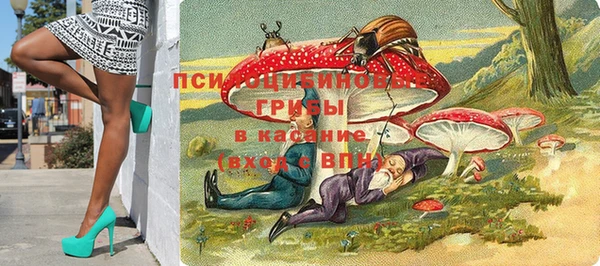 a pvp Горнозаводск
