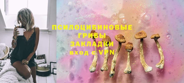 a pvp Горнозаводск