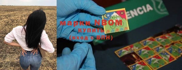 a pvp Горнозаводск